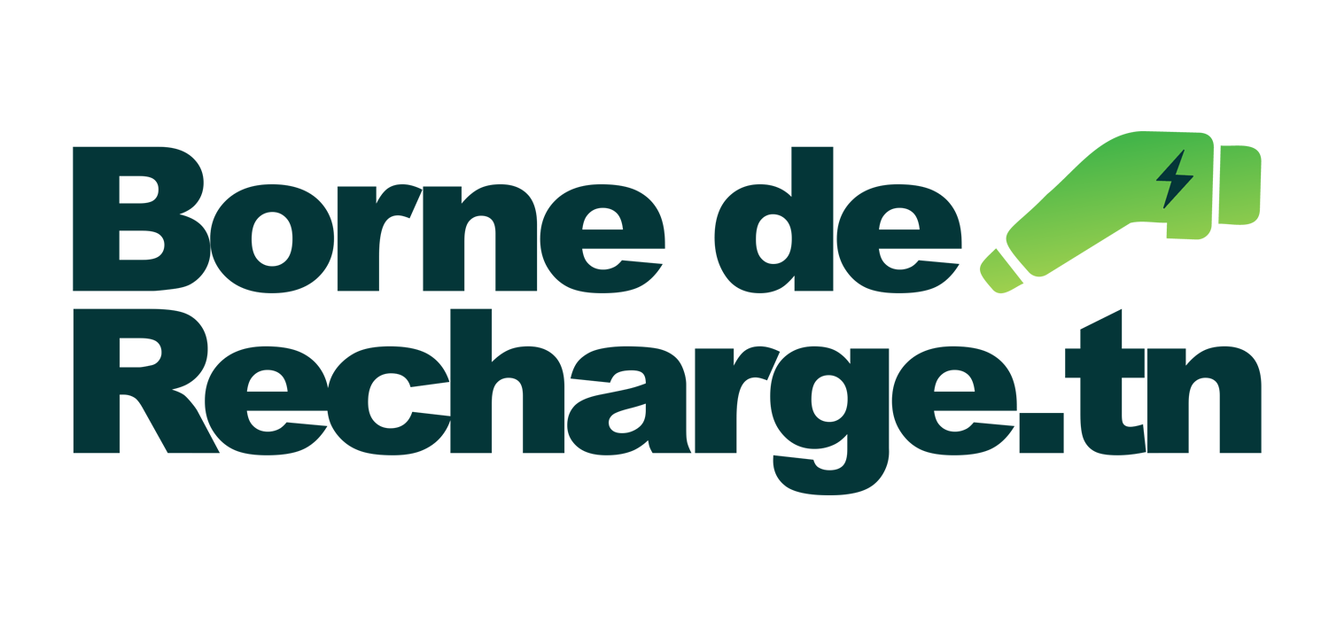 Borne de Recharge